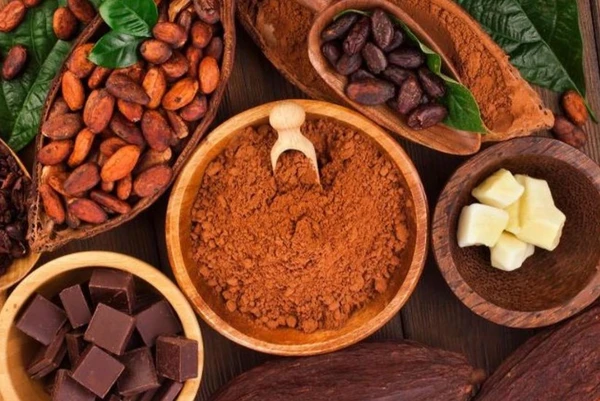 CHOCOLATE DE DOCHE (Bolsa x 500 gr)